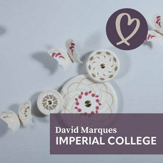 David Marques Imperial College London