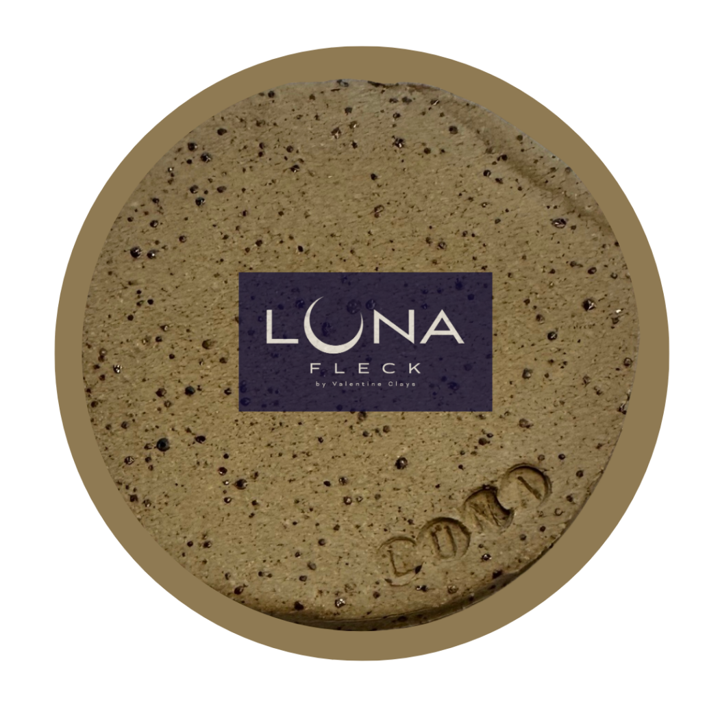 Luna Fleck Stoneware